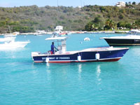 Anguilla Reef Project